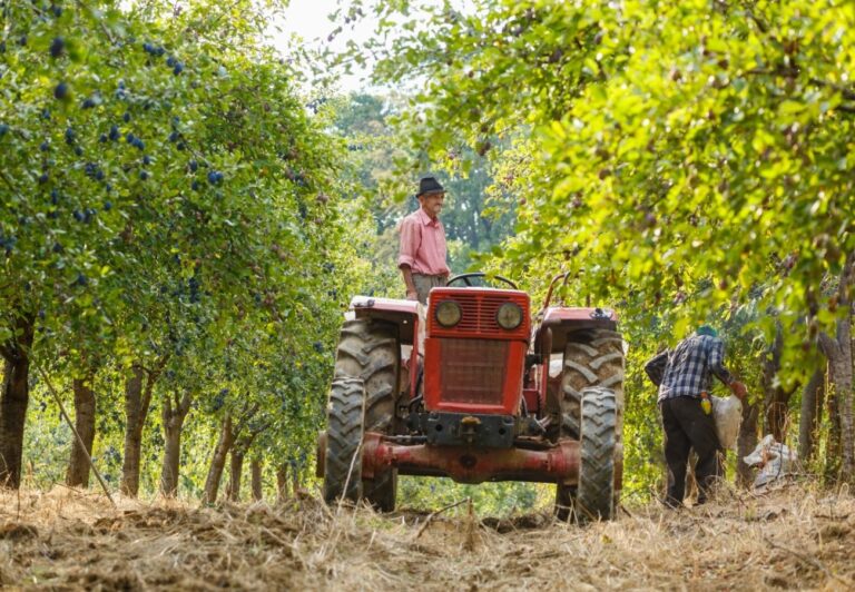 Akumulator do Ursusa c-360 – jak dobrać najlepszy?